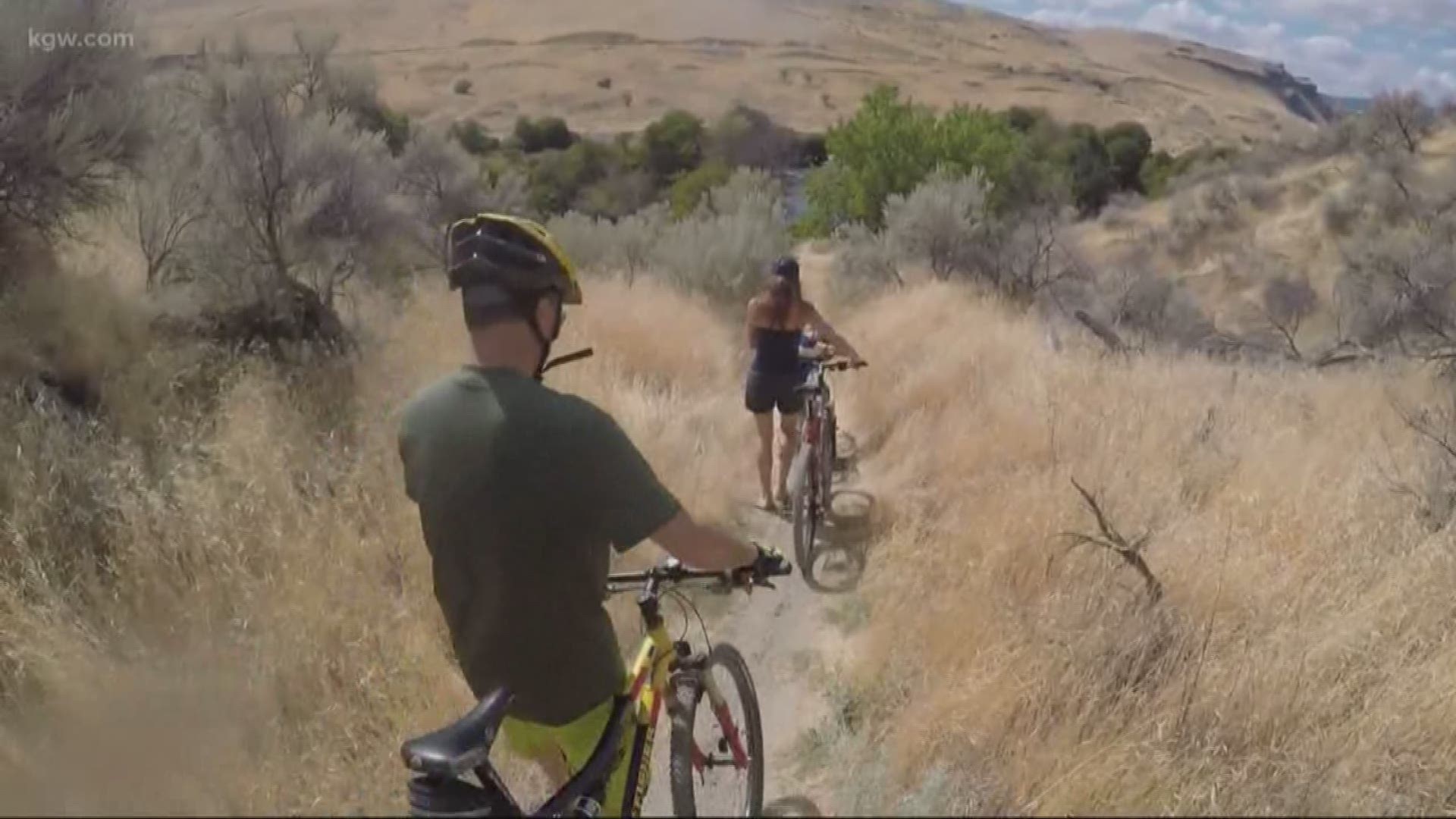 A rail bed bike tour of the Deschutes River