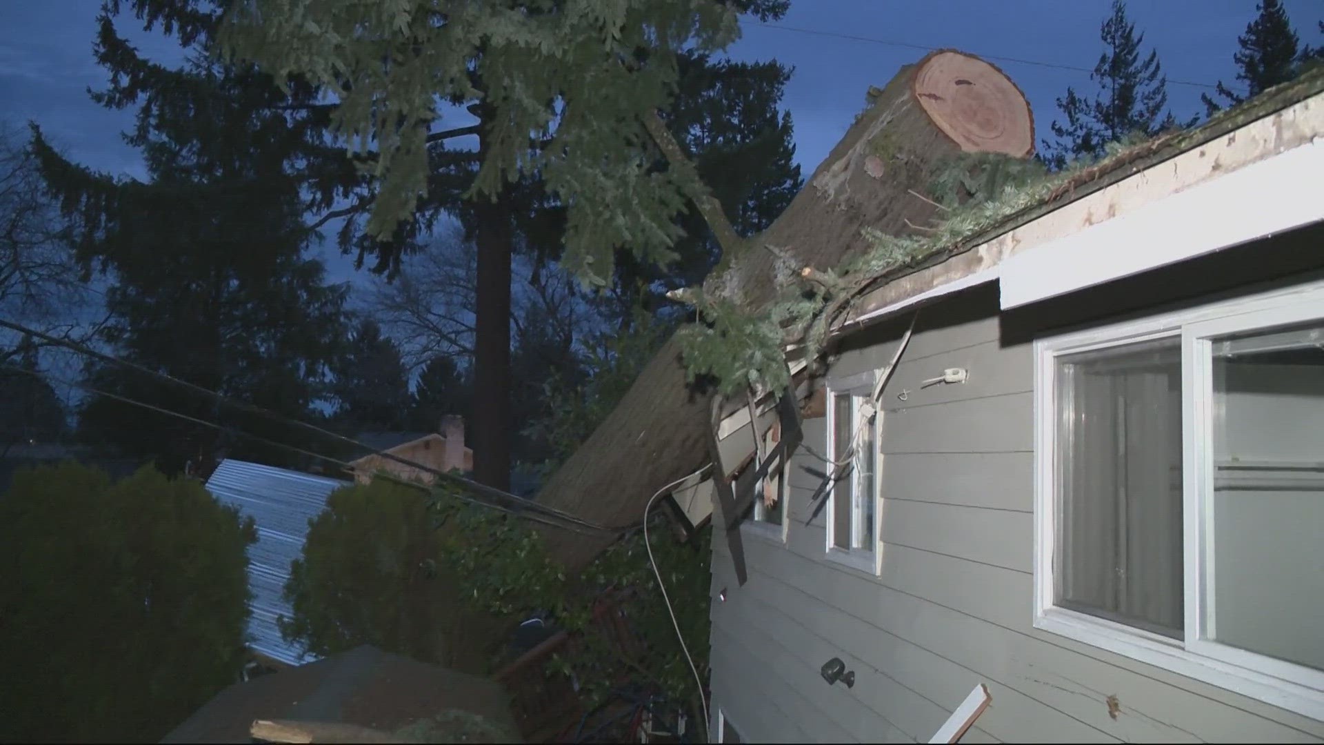 Alison Neighbor and her family are dealing with the aftermath of the storm, after a tree crashed through their roof.