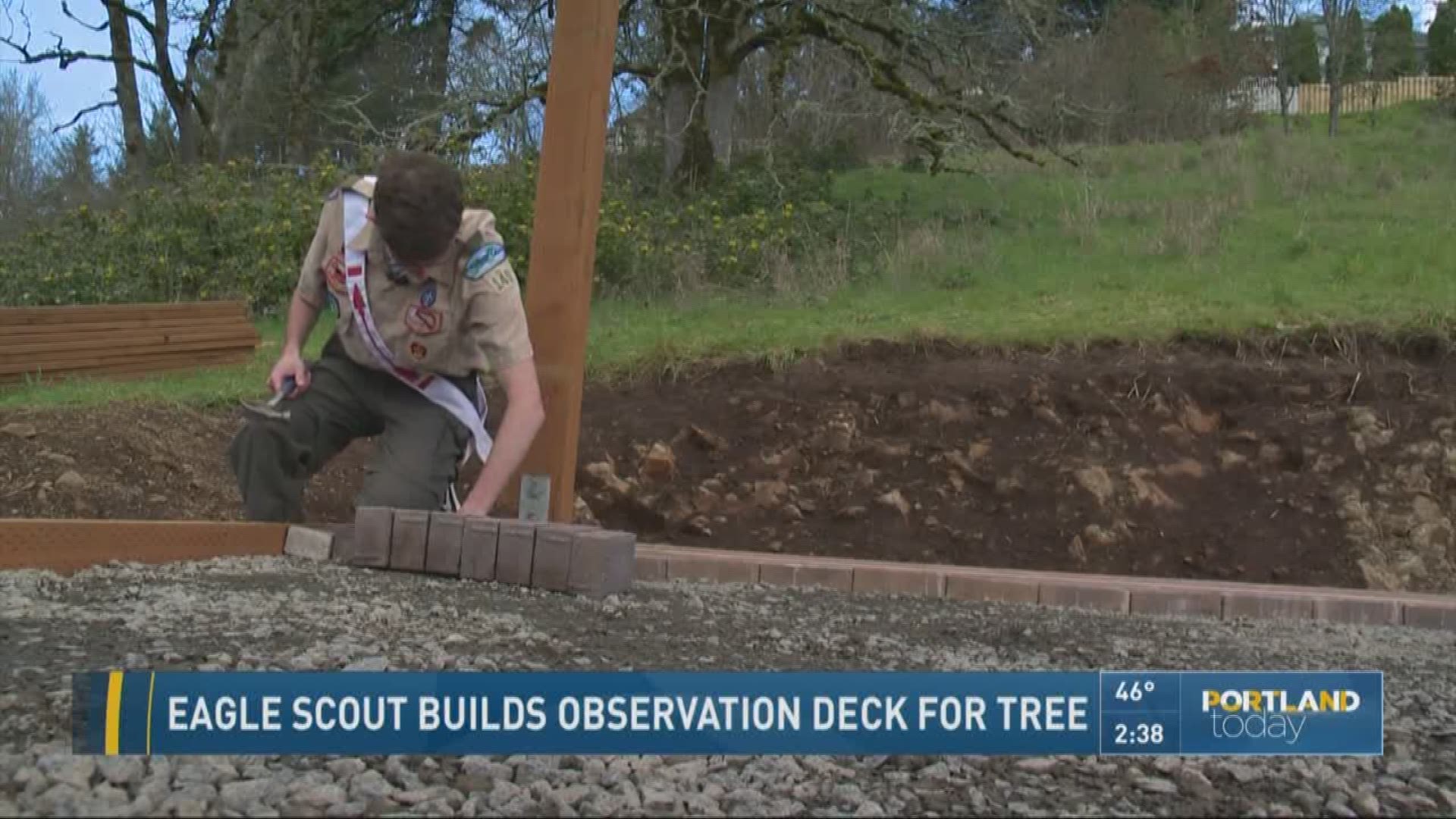Eagle scout builds observation deck for tree