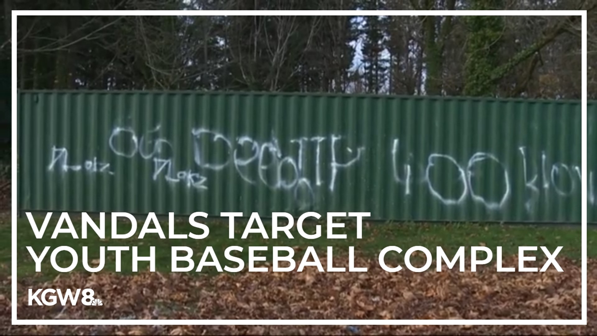 Over the past six months, the park has dealt with graffiti, damaged turf, stolen security cameras and a ransacked concessions stand.