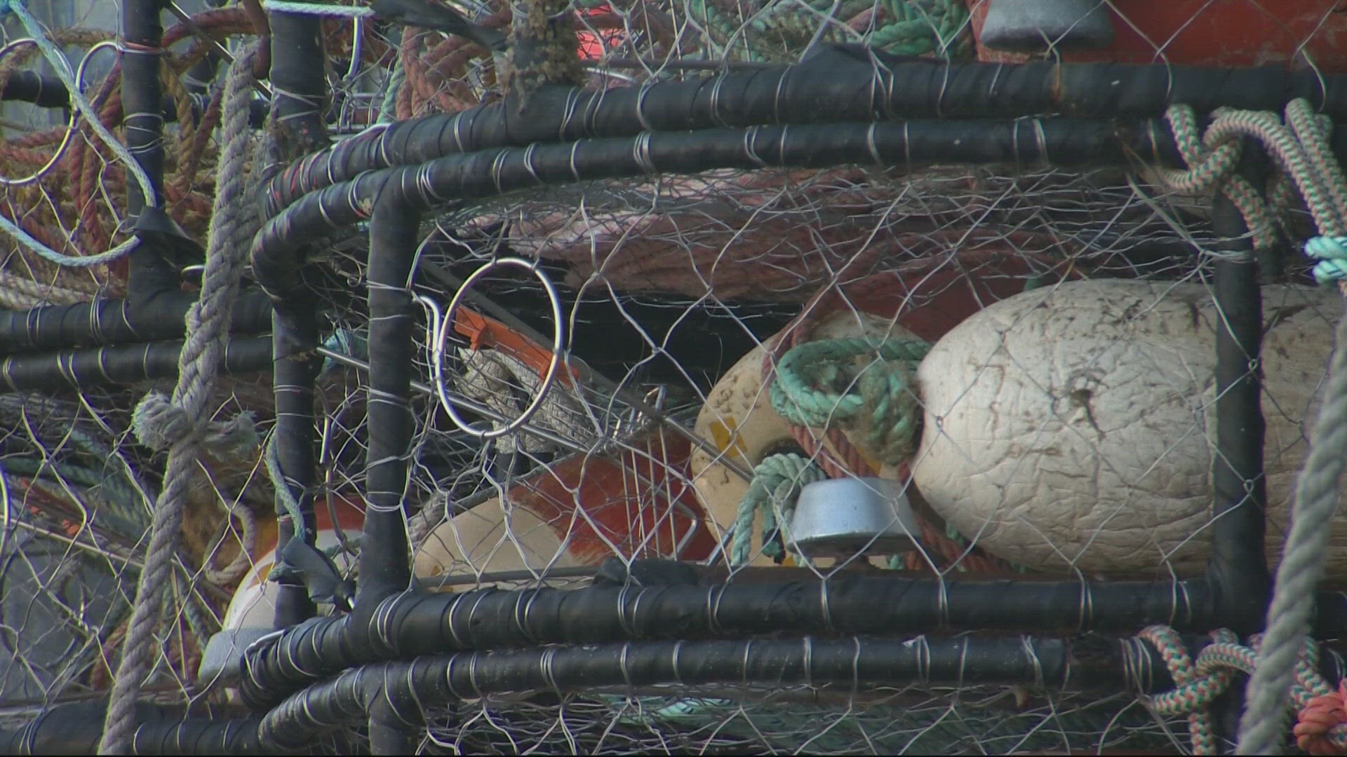 The season usually starts Dec. 1, but is often delayed. Only areas south of Depoe Bay are open for crabbing so far.