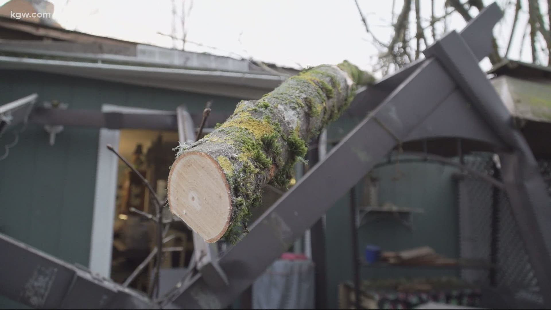 Coverage for property damaged by trees and other storm-related mishaps usually falls on the property owner's insurance company, say experts.