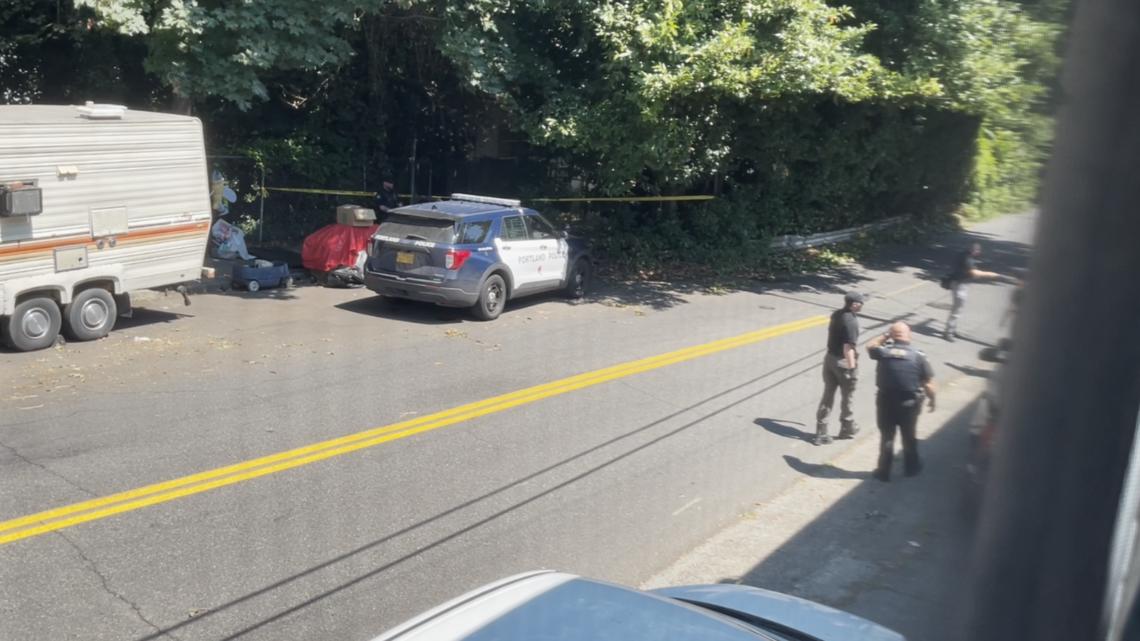 Newborn discovered dead in North Portland, police say