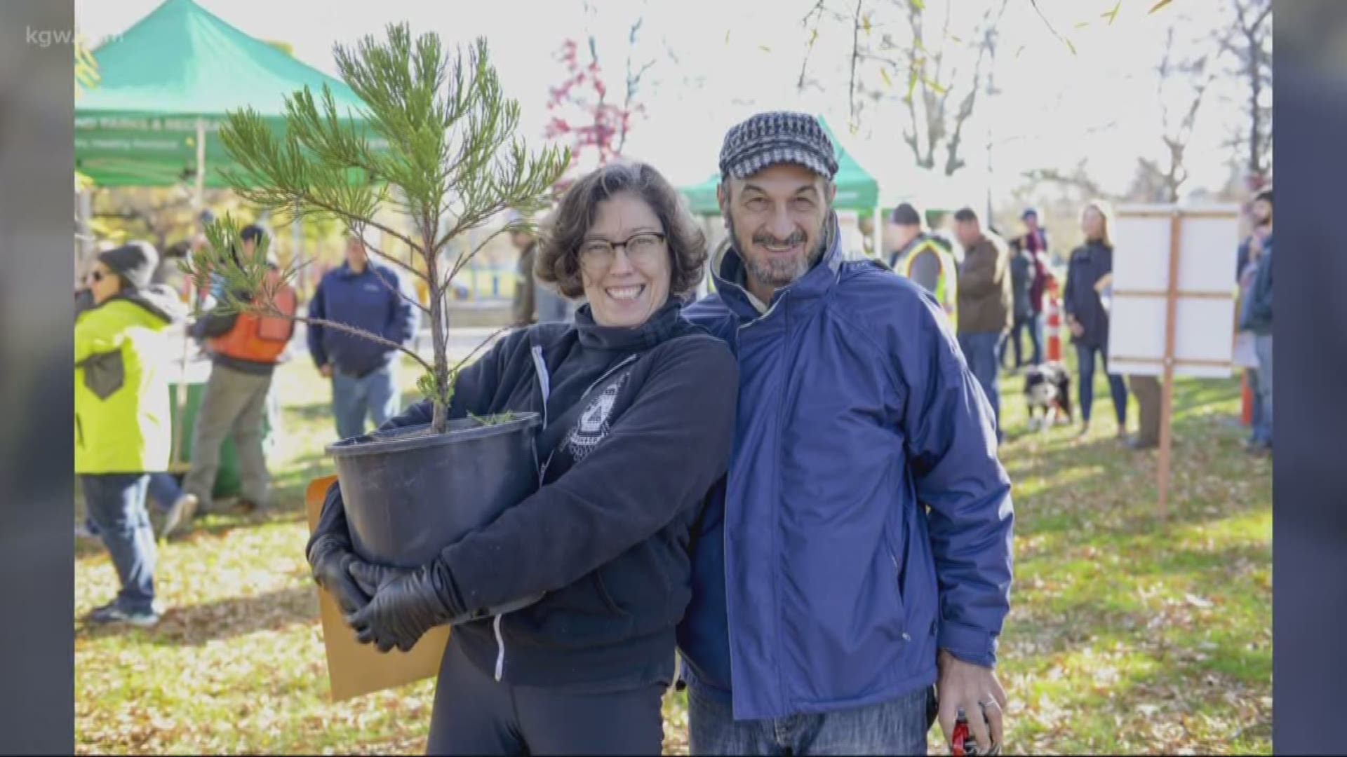 Program offers free trees to Portlanders