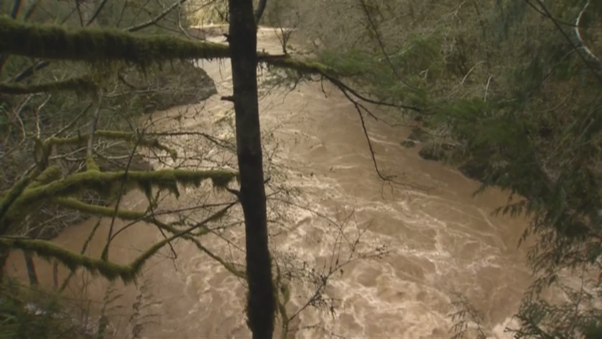 Wilson River floods Tillamook and RV park kgw