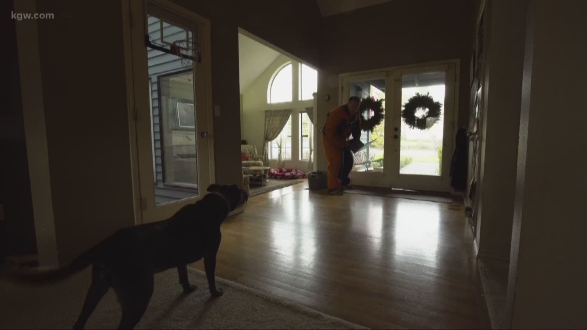 Ever wonder how your dog would respond if a burglar tried to break into your home? To find out, we put three dogs to the test.