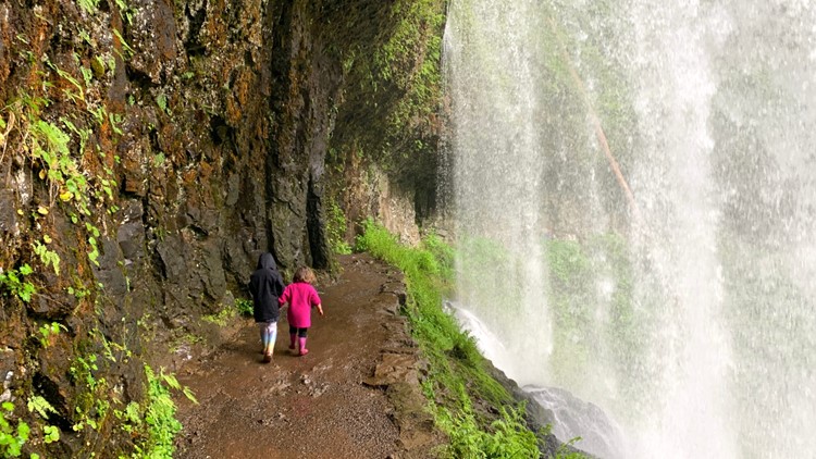 Silver Falls Park Gem Of The Oregon System Has Reopened Kgw Com