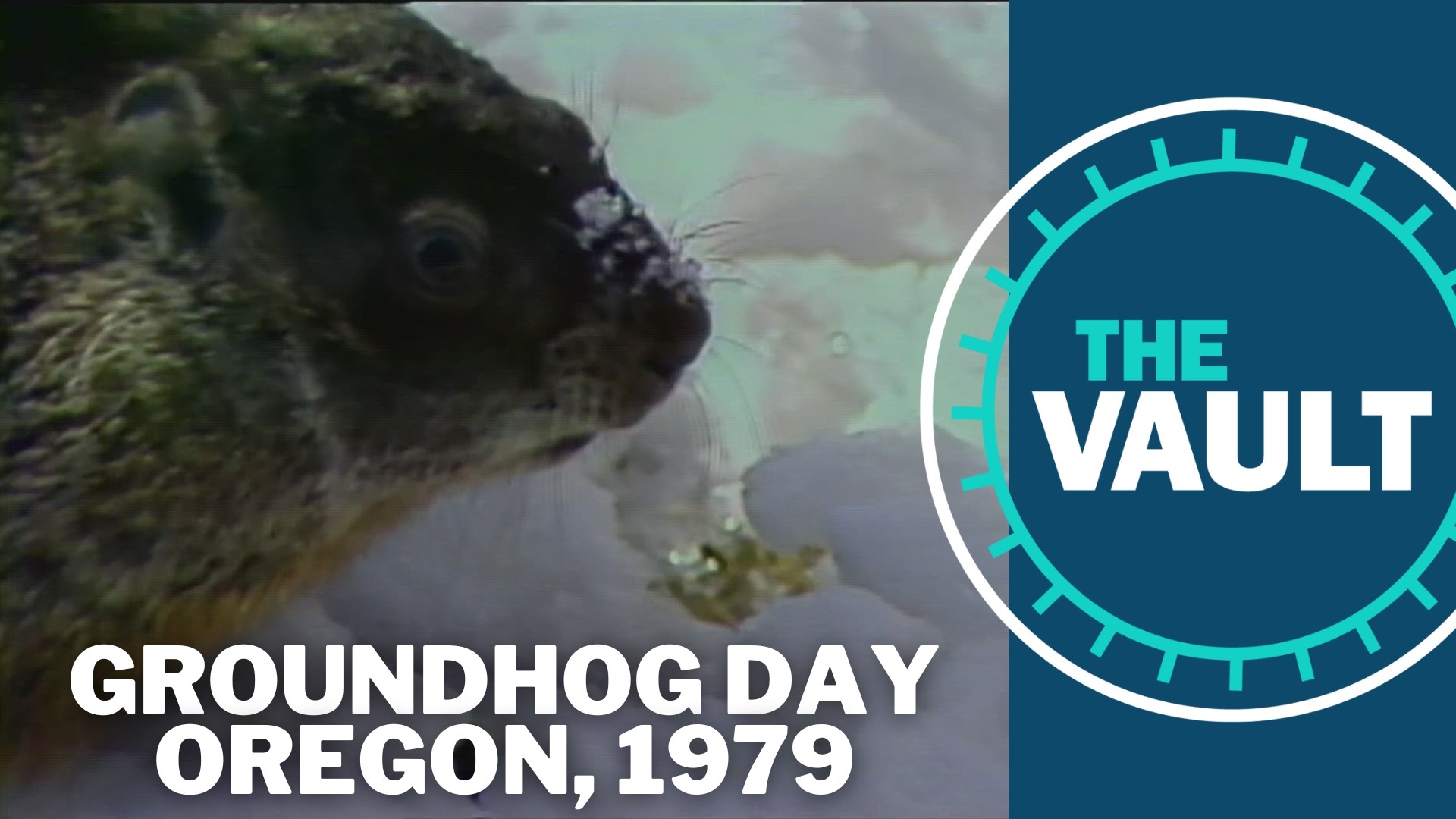 These days, Stumptown Fil does weather prognosticating for the Oregon Zoo. But back in '79, it was a groundhog named Chuck who provided that valuable service.