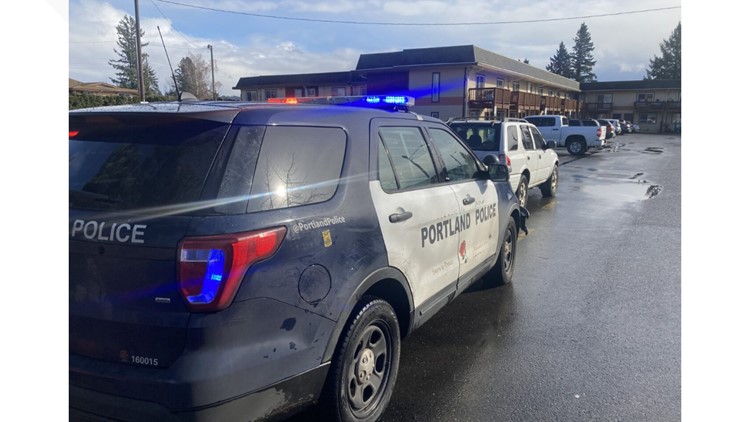 Police: Portland car theft reports down by half since last year | kgw.com