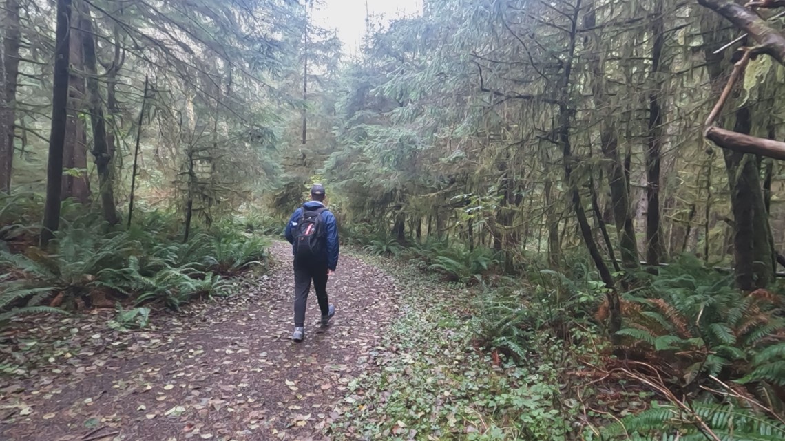 Haunted hikes on the Oregon coast | kgw.com