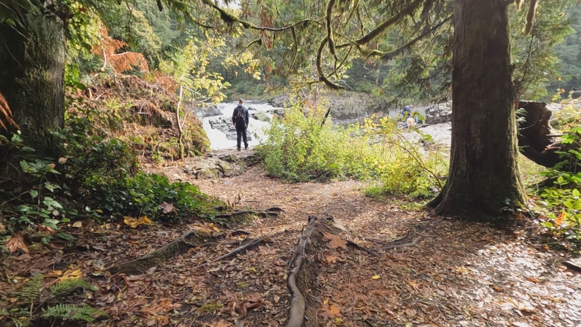 Tracking the fall colors in the Northwest - Vimarsana News