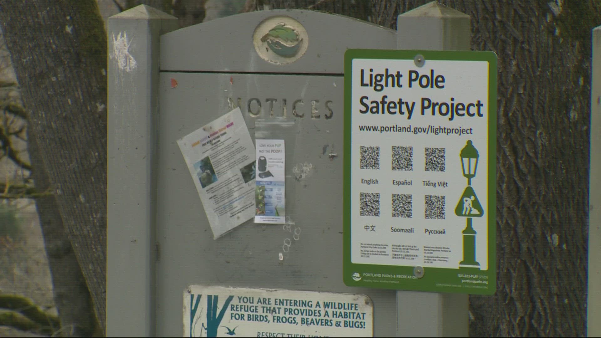 The city plans to replace the light poles across 12 parks but has not yet secured the funding to do so.