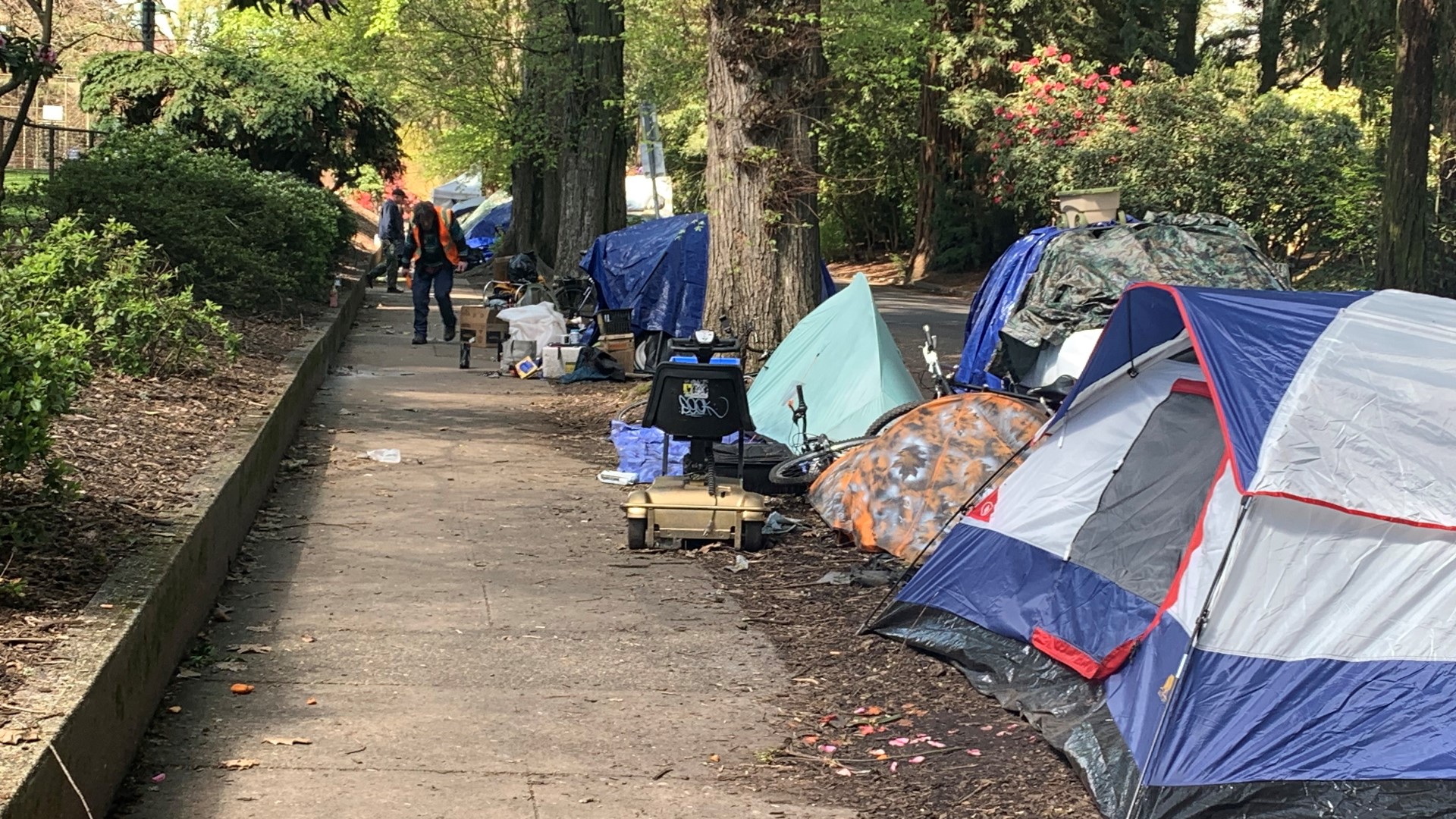 Homeless Camp At Laurelhurst Park Grows Once Again