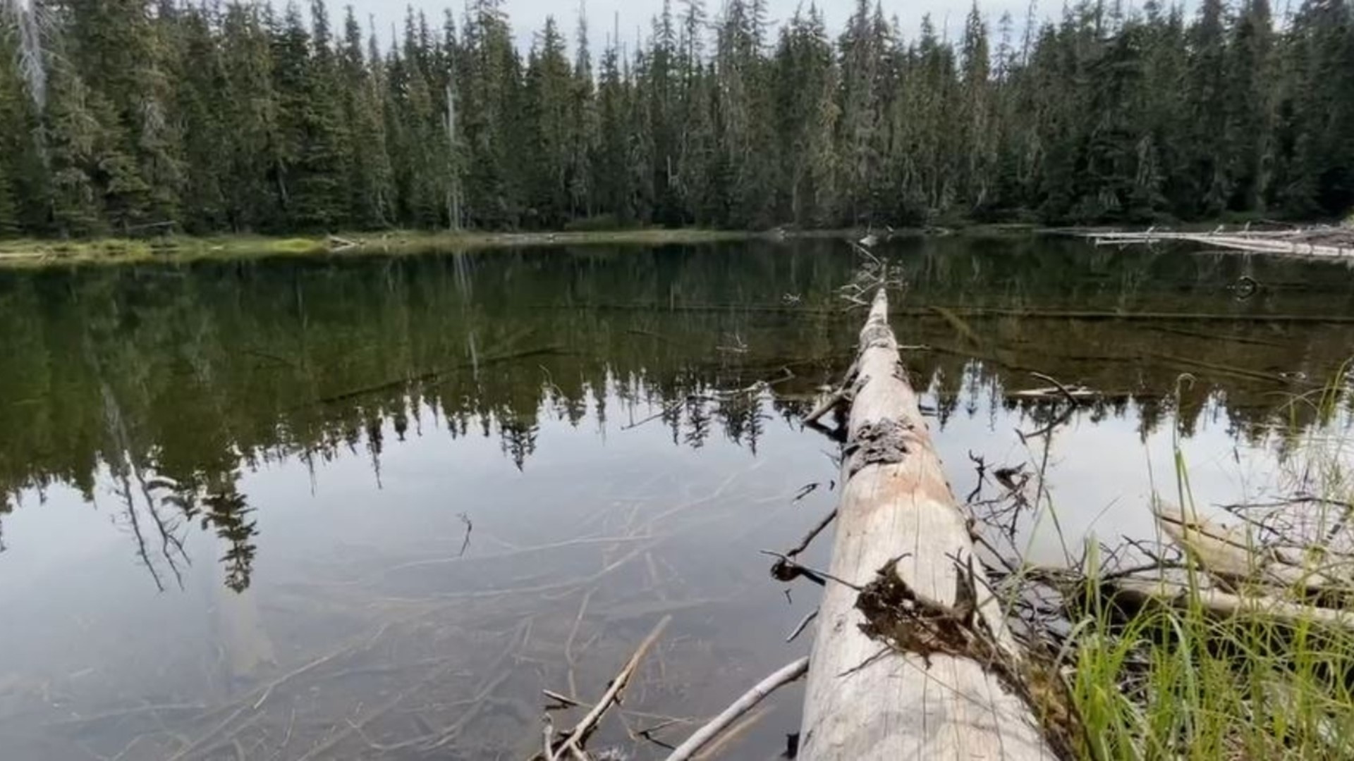 The latest What's in a Name? is about a lake in the High Cascades with a funny name. Devon Haskins went fishing for answers as to why it's called Boo Boo Lake.