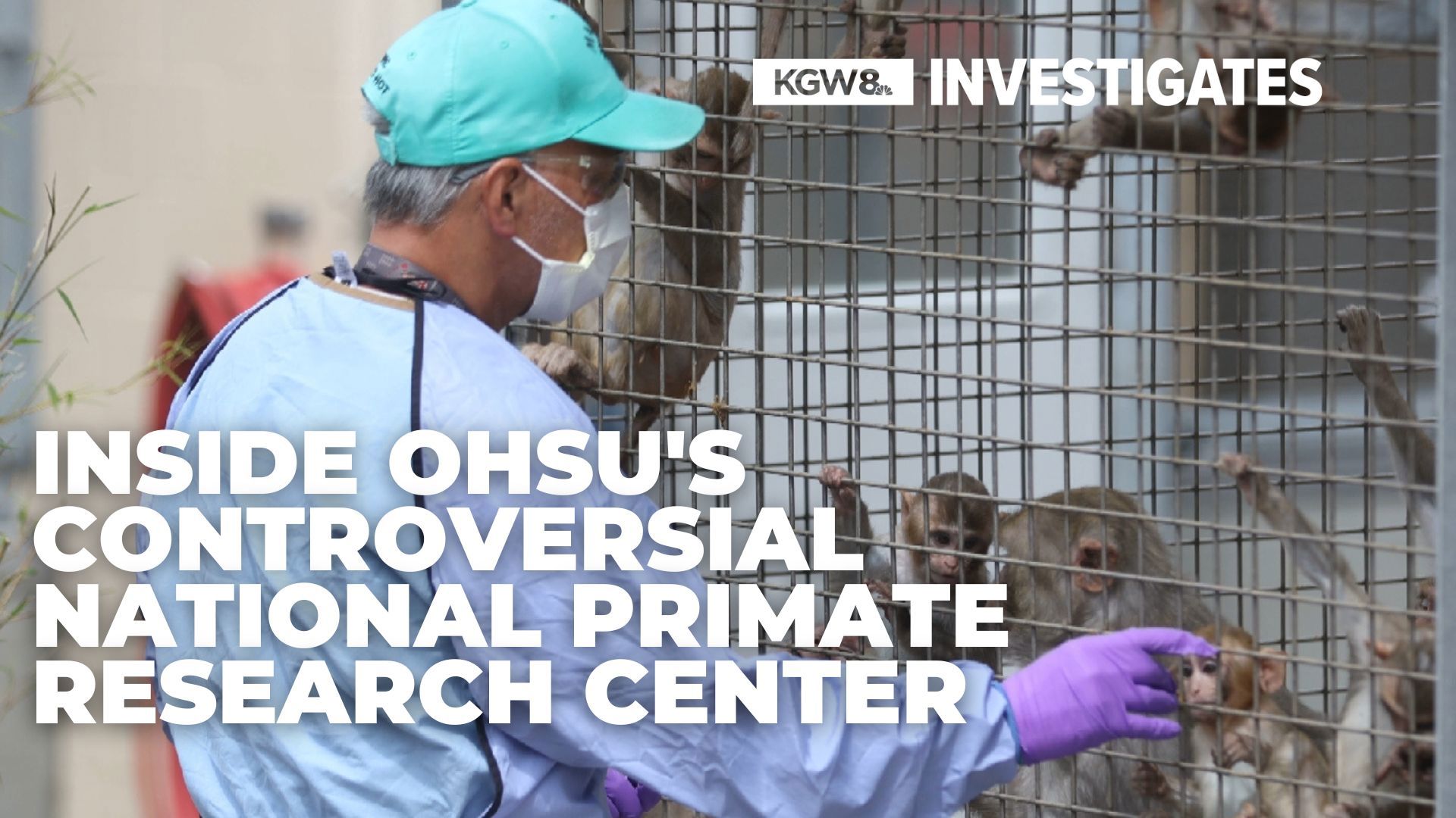 The center is home to nearly 4,500 primates; only about a third of them are used in medical research, which researchers say is critical to medical breakthroughs.