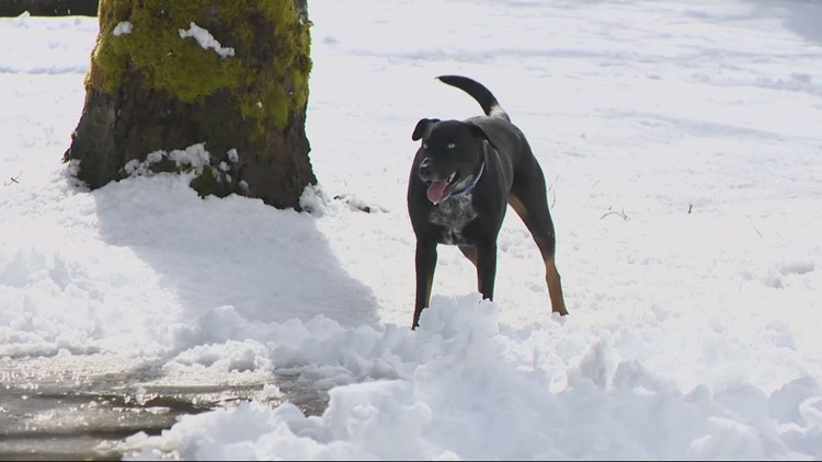 'The views are beautiful' | Snowy start to spring break for travelers on the way to the Oregon Coast