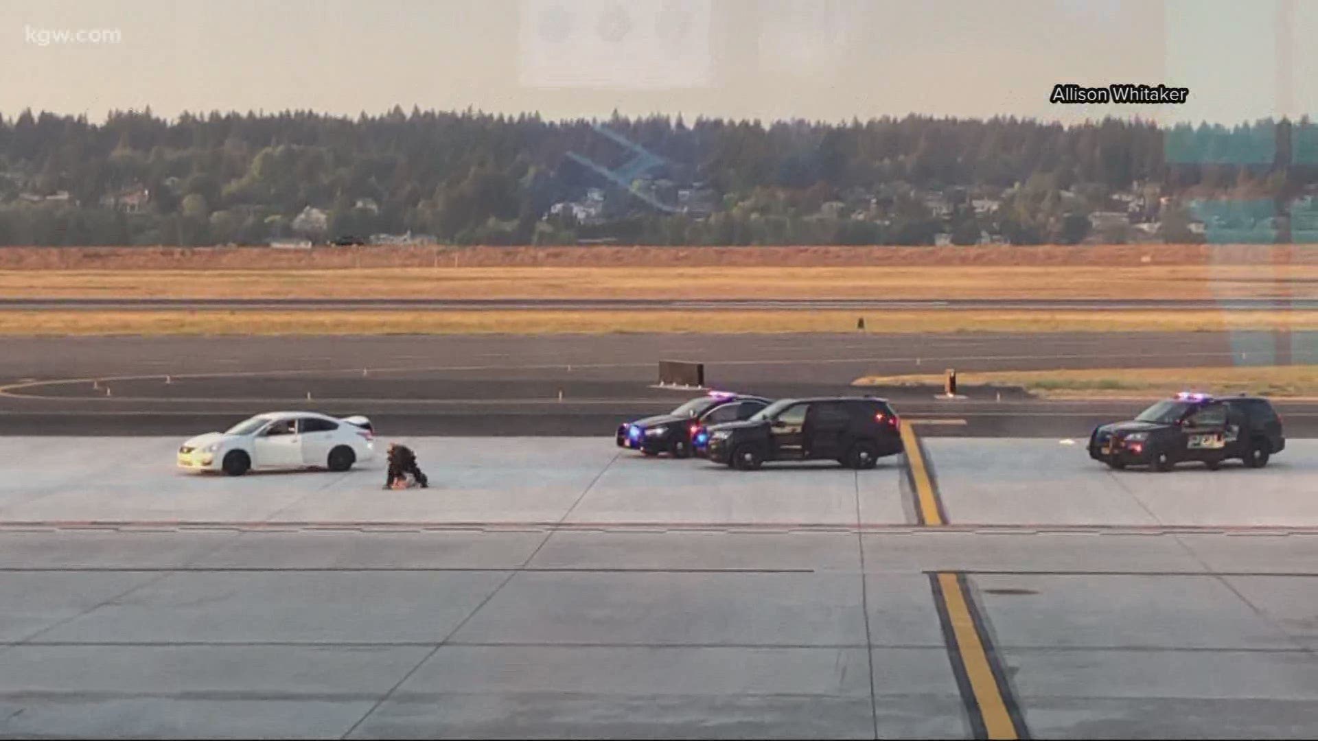 The driver took off down an active taxiway, forcing a commercial airliner to stop as the car went under its wing, investigators said.