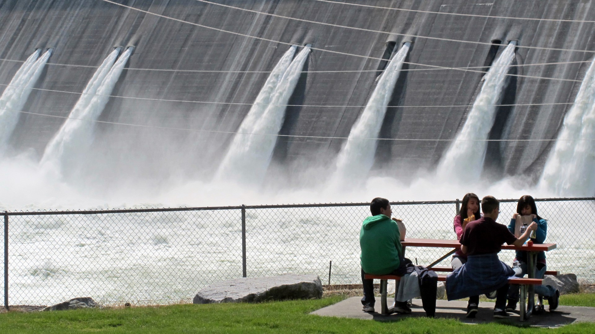 Biden deal with tribes promises 200M for salmon reintroduction