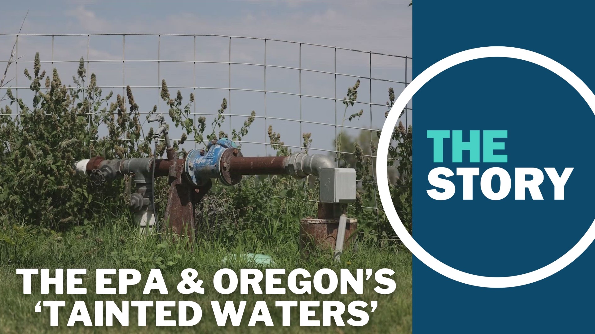 Regional EPA administrator Casey Sixkiller sat down with The Story to address the decades-long contamination of drinking water in Oregon's Lower Umatilla Basin.