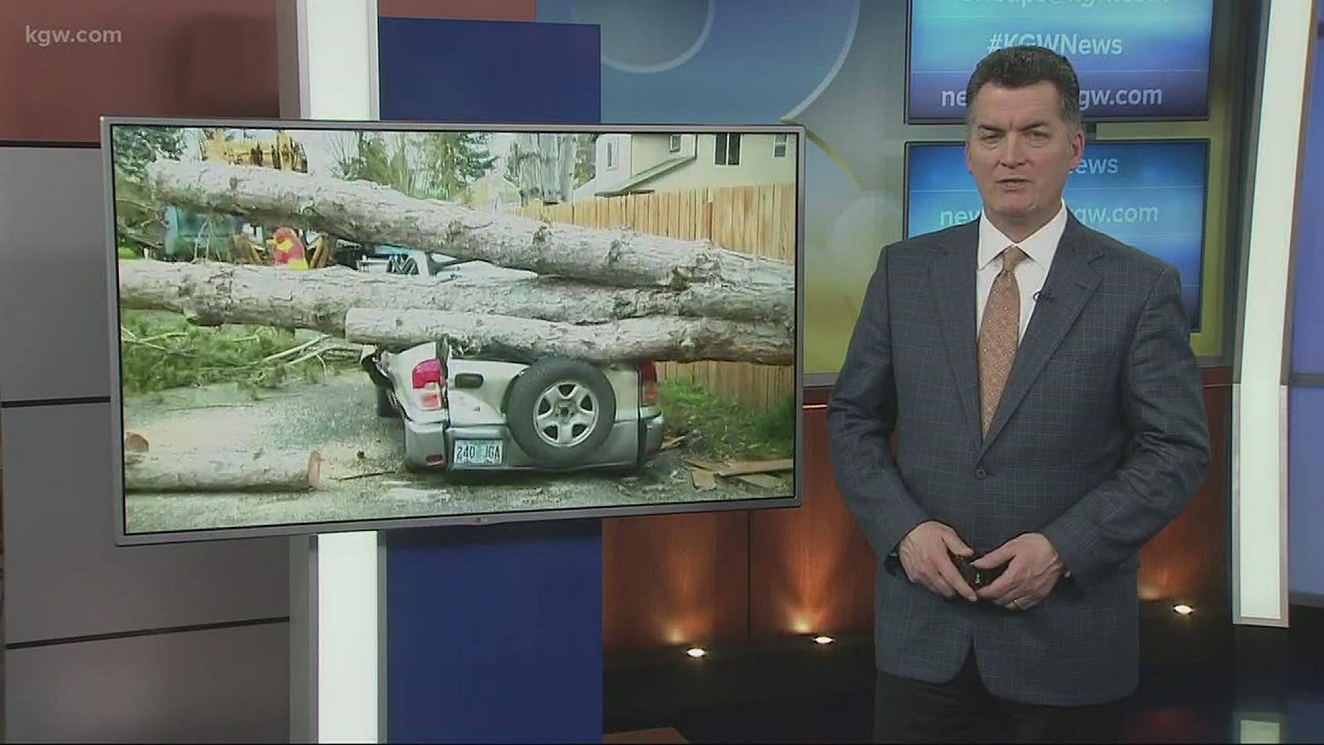 Tree falls in Cornelius, crushes car