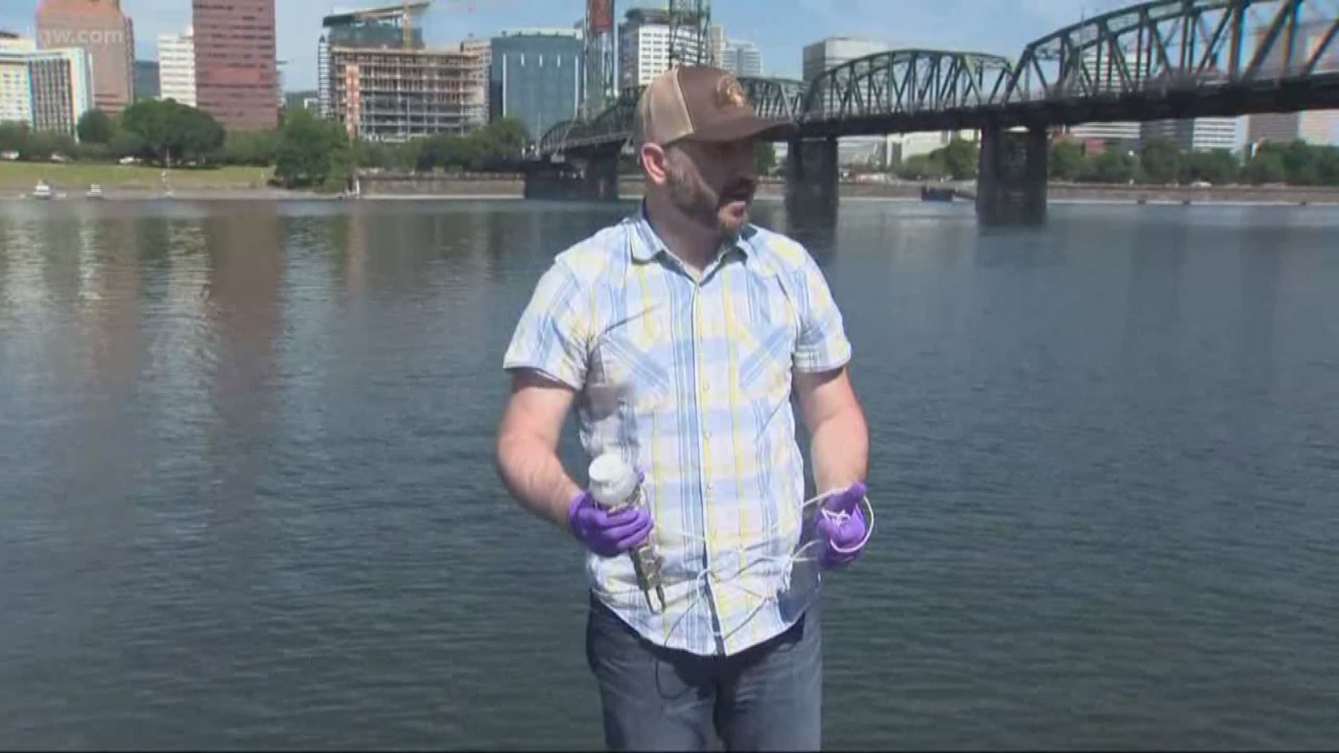 The city of Portland has started pulling samples from the Willamette River and testing for harmful bacteria.
