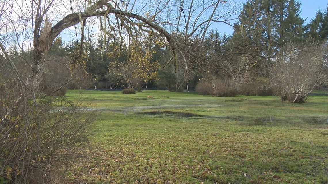 Snow Peak developing campground in Long Beach, Washington - Vimarsana News
