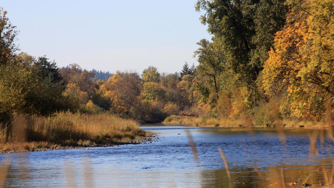 Body recovered from Willamette River near Eugene identified