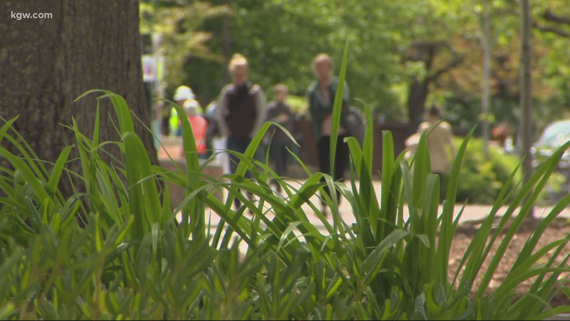More than 200 University of Oregon students have tested positive for COVID-19. Pat Dooris has the latest.