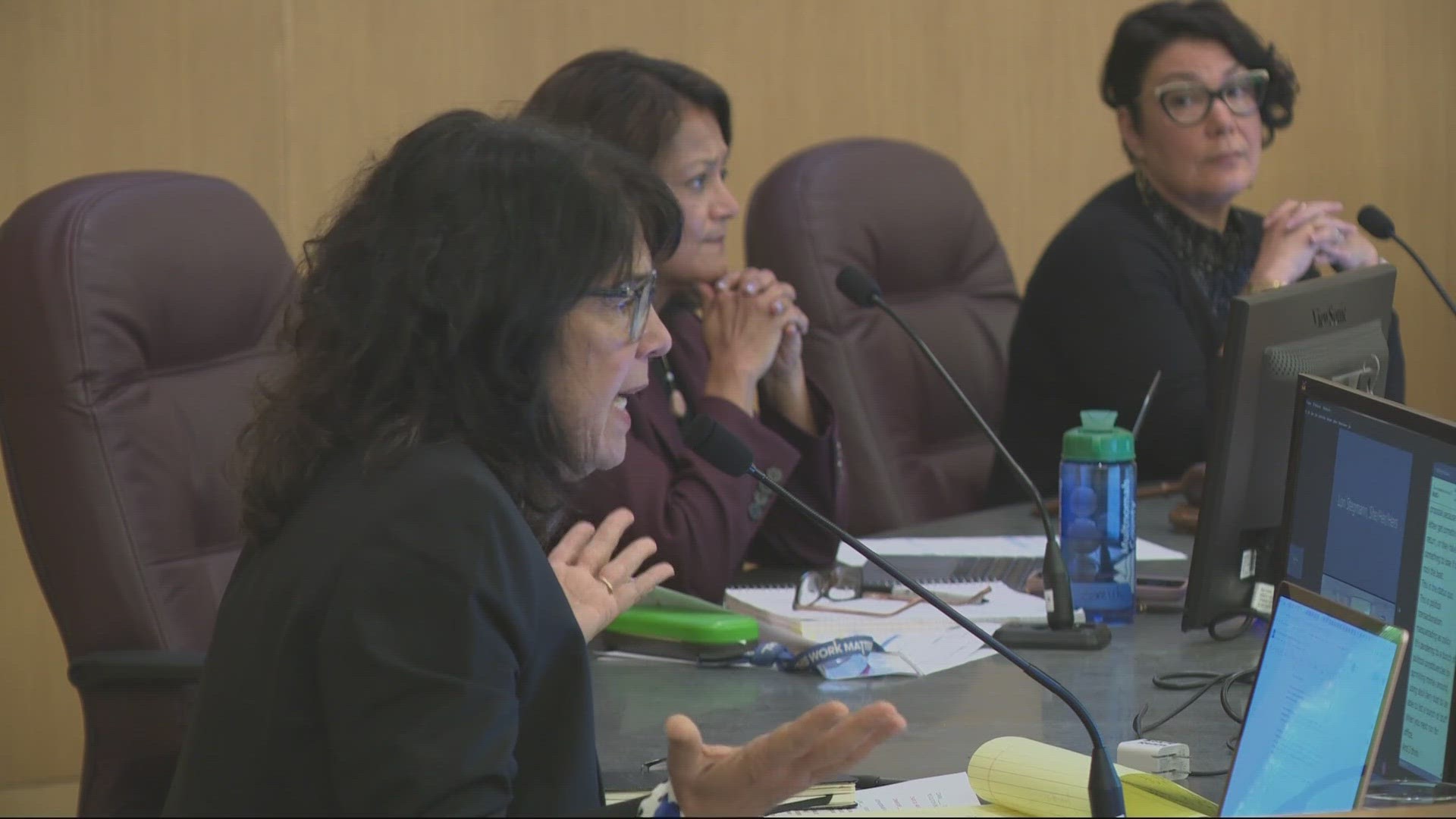 Only Commissioner Sharon Meieran voted against the spending plan, saying it "lacked specifics and cohesion" and didn't fit with a larger plan for homelessness.