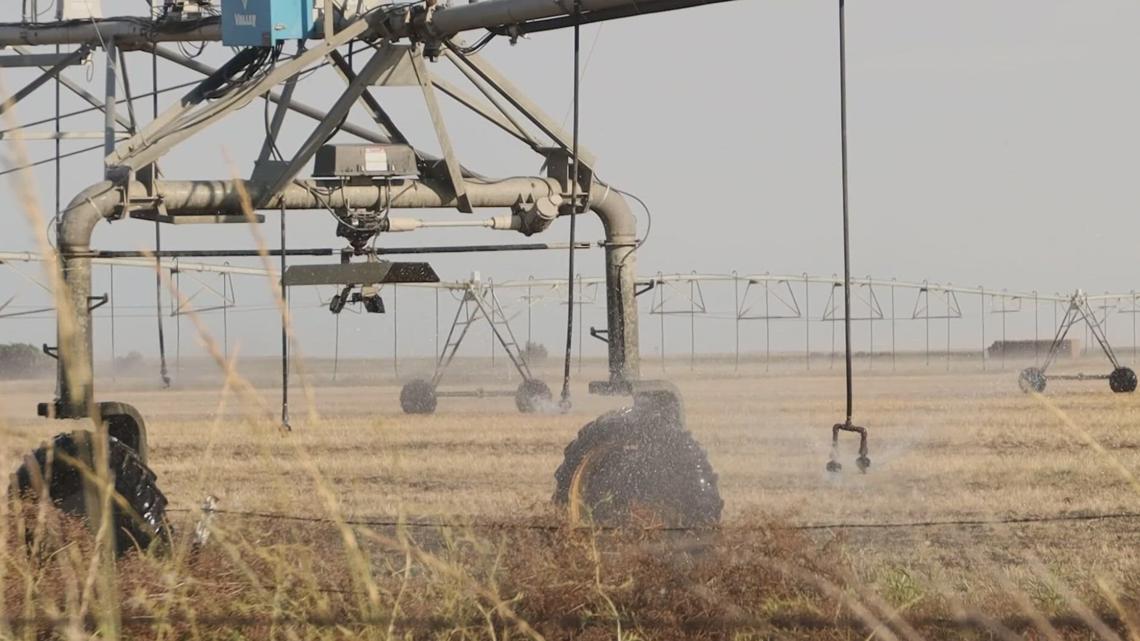 Gov. Kotek declares drought emergency in 6 more Oregon counties after uncommonly warm winter