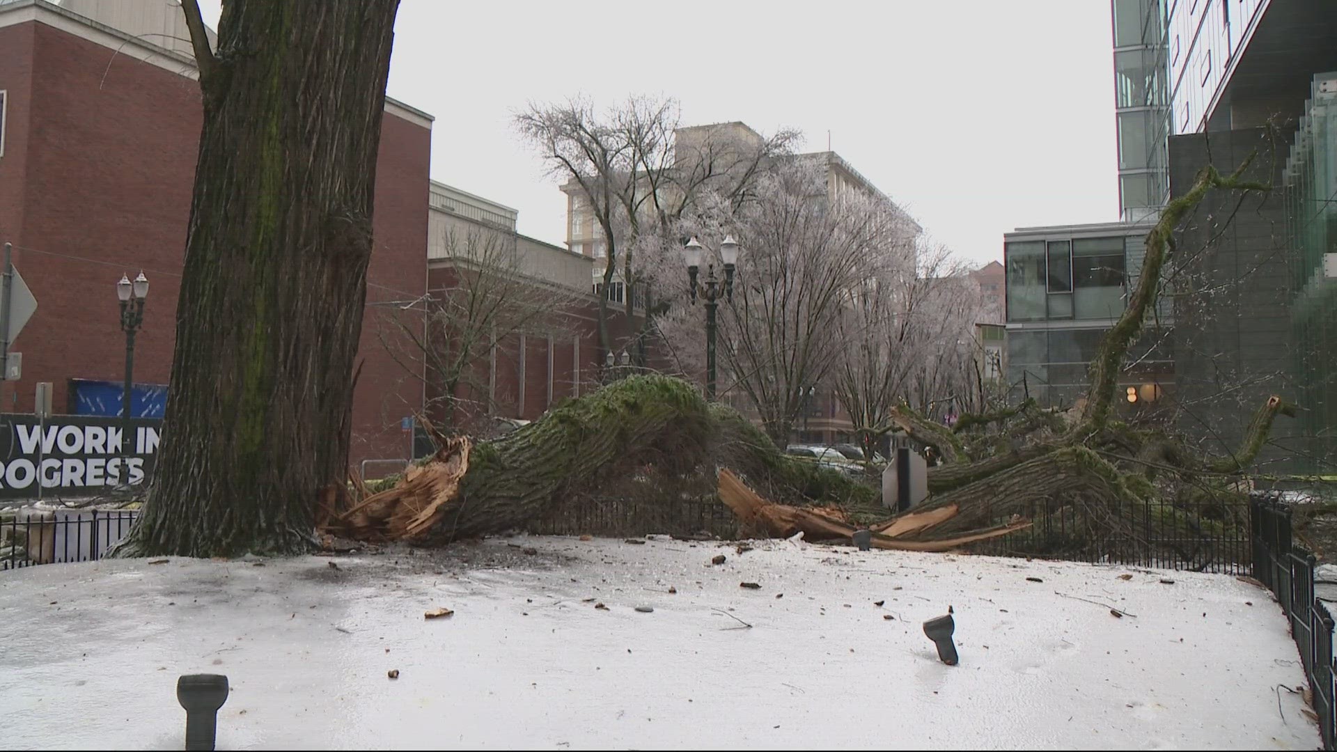 Portland grant program to help small businesses recover from ice storm