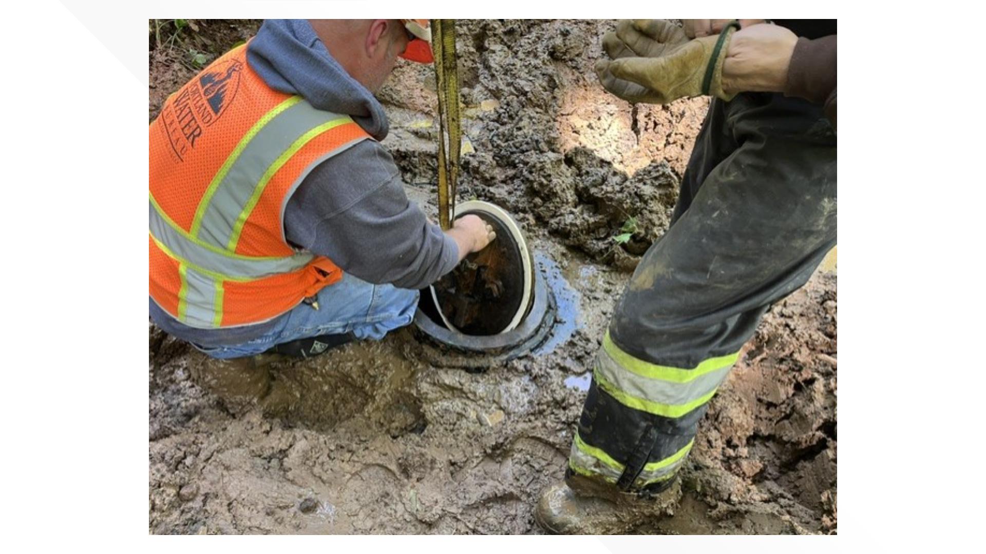 Portland is tapping into its backup supply of drinking water after ...