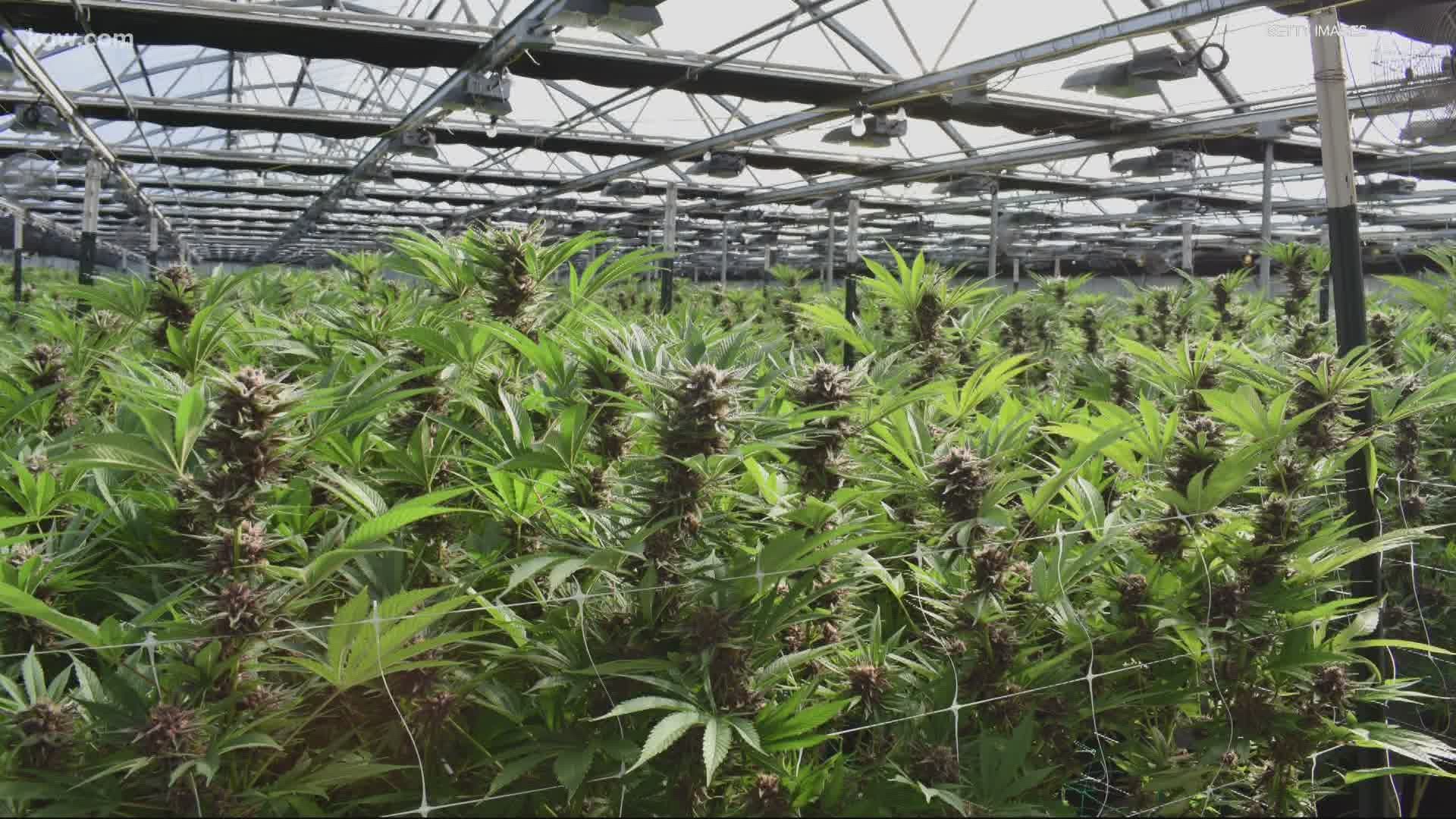 Cannabis sales in Oregon topped $1 billion in 2020.