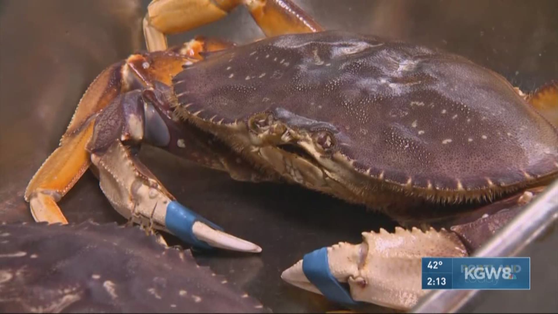 Crab season delayed again in Oregon