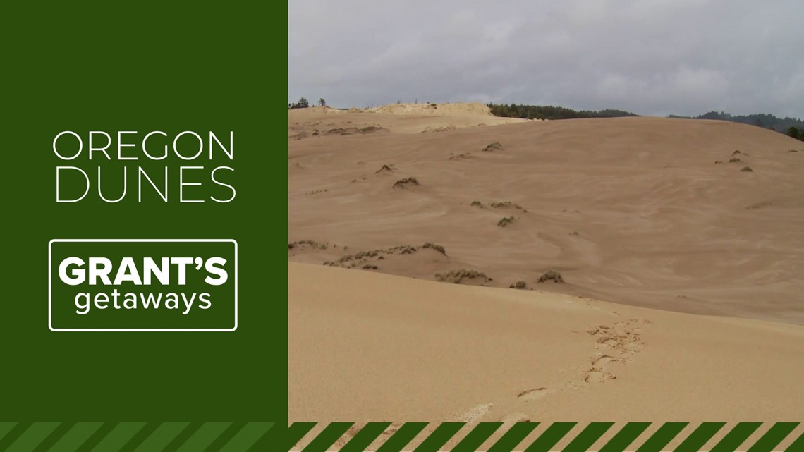 The Oregon Dunes: an 'ageless place in a timeless setting' - Vimarsana News