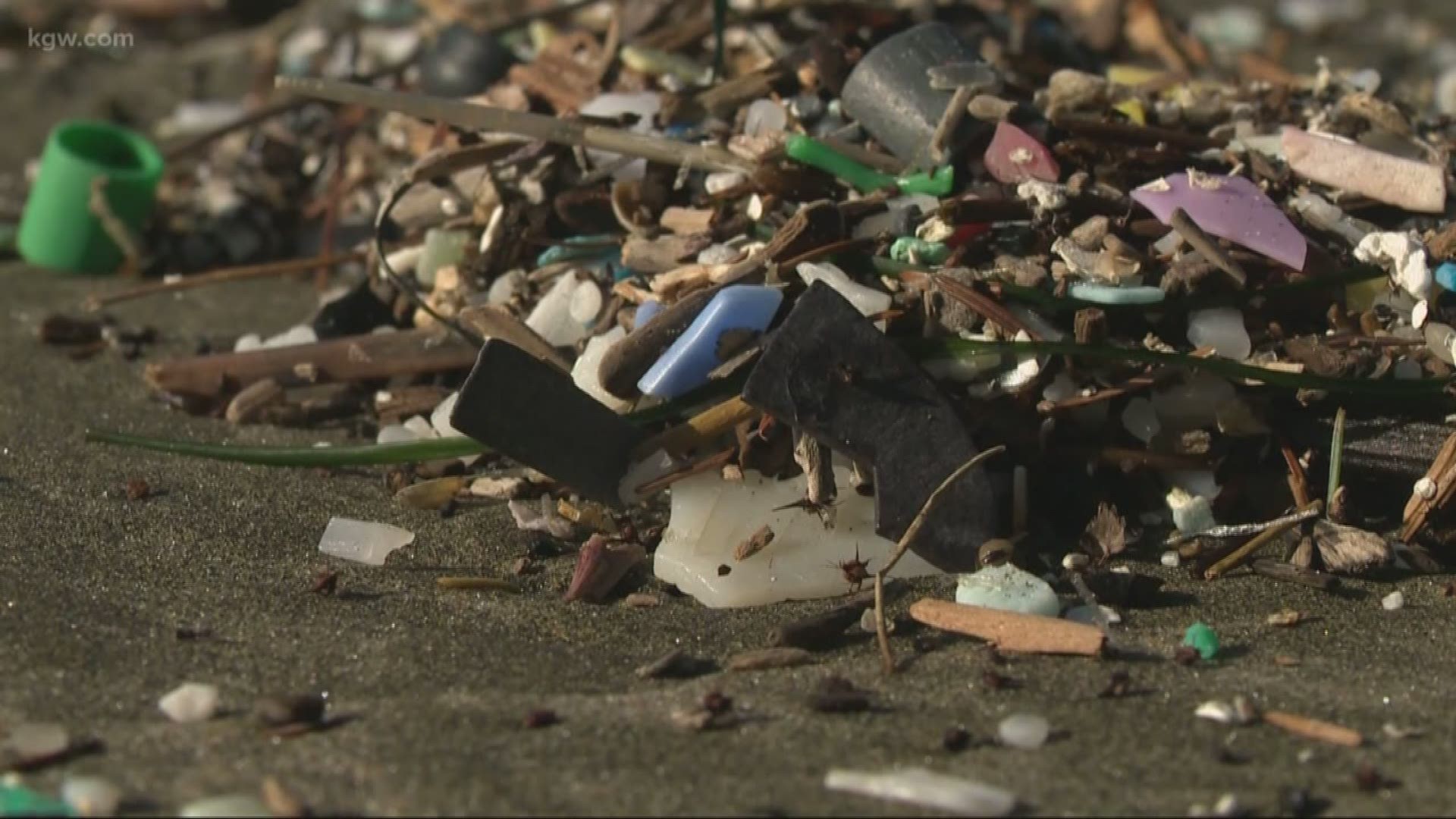 Microplastics are covering Oregon beaches.