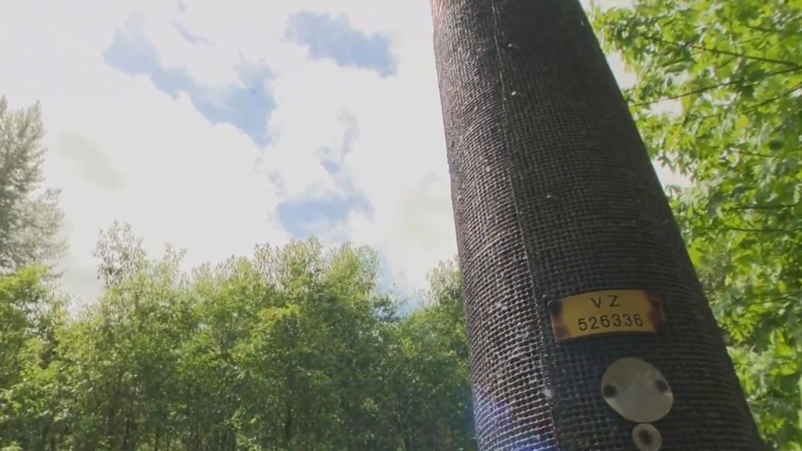 PGE has wrapped nearly 3,000 power poles in fire-resistant mesh across three Oregon counties to shield infrastructure during wildfires.