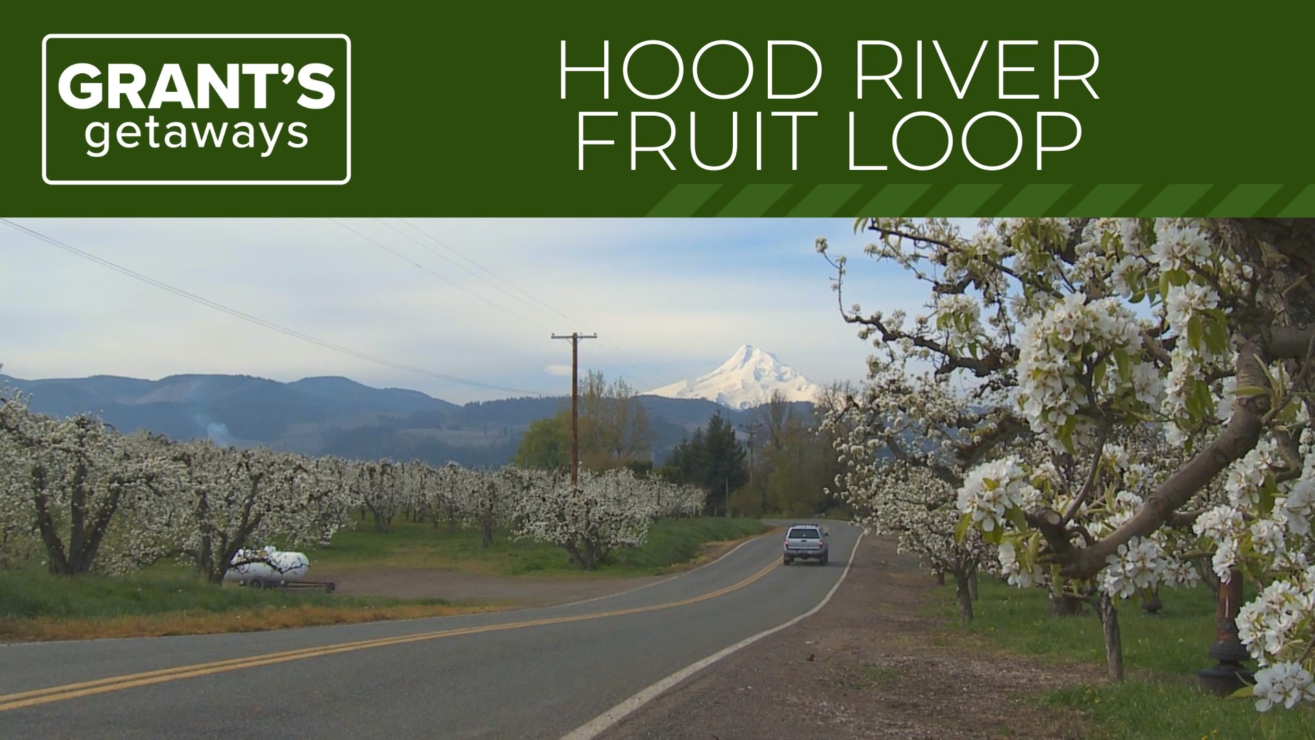 Along the valley‘s famous “Fruit Loop,” you can experience an endless wash of blossoms from pear and apple orchards.