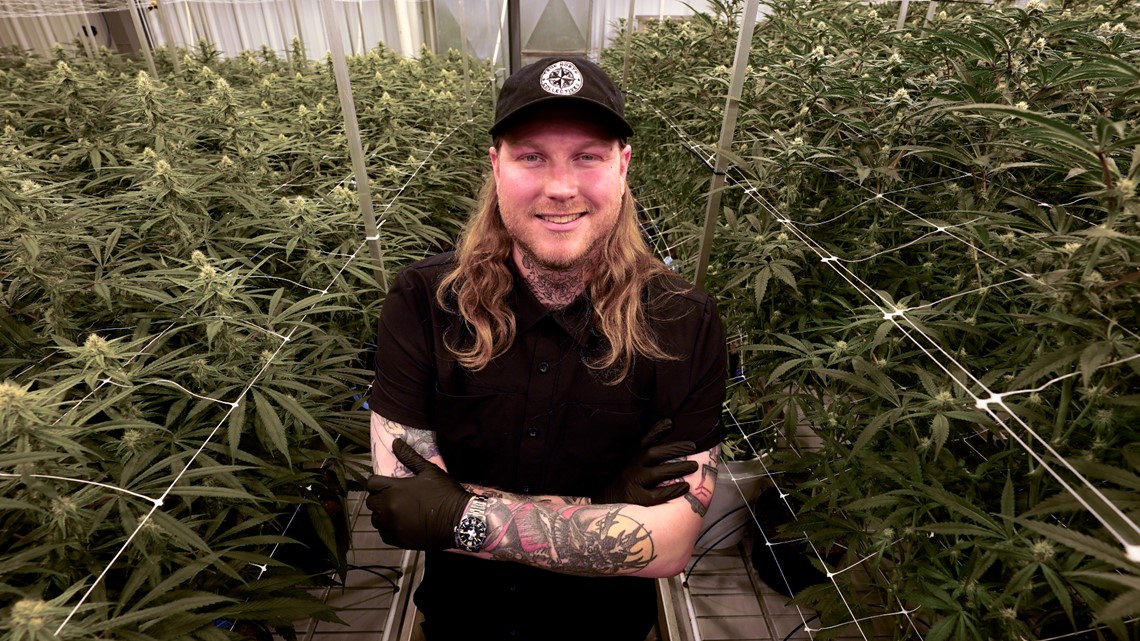 Legal marijuana businesses undercut by hemp-derived THC - Vimarsana News