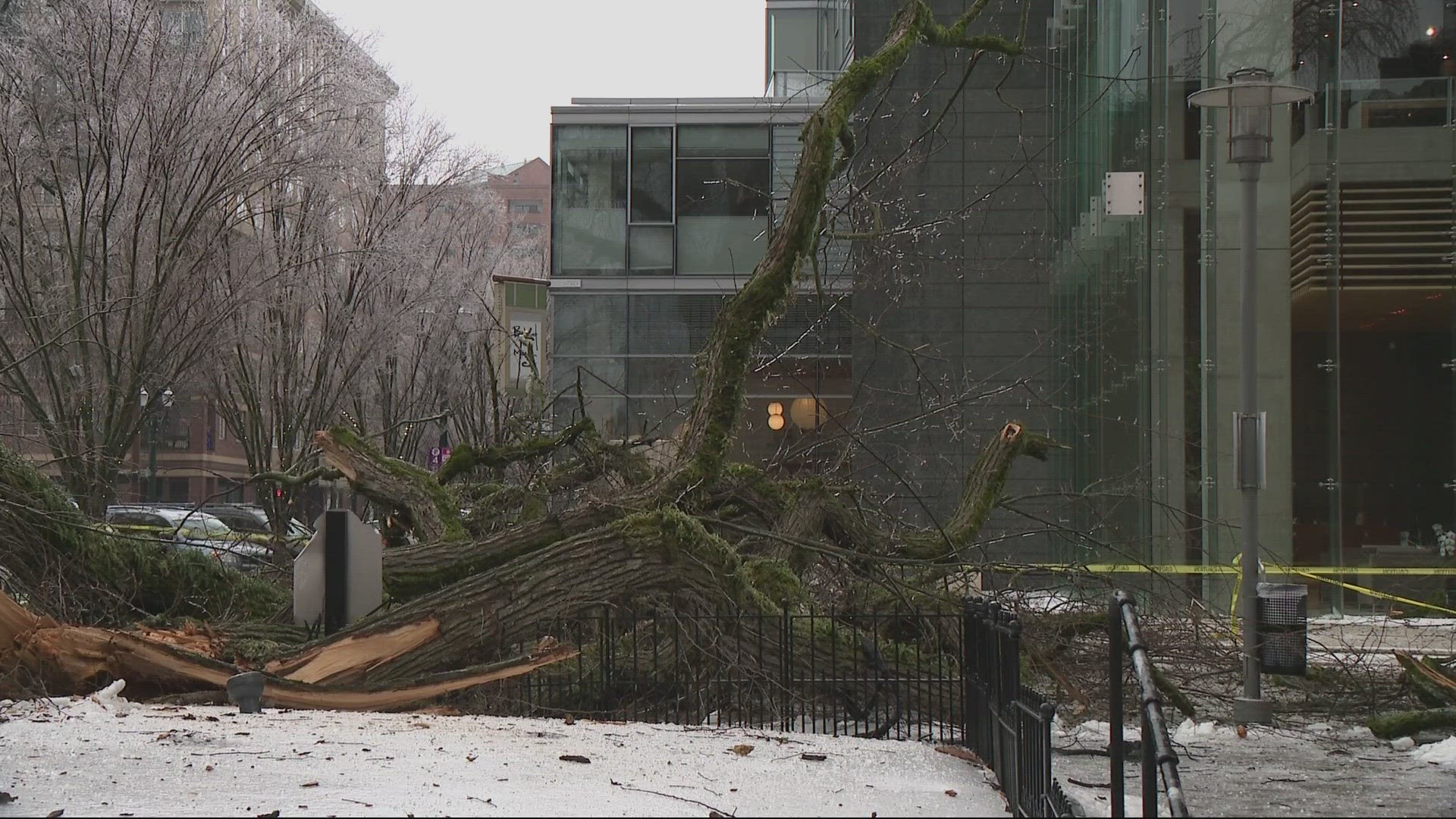 Portland Parks and Recreation got at least 380 reports of downed trees.