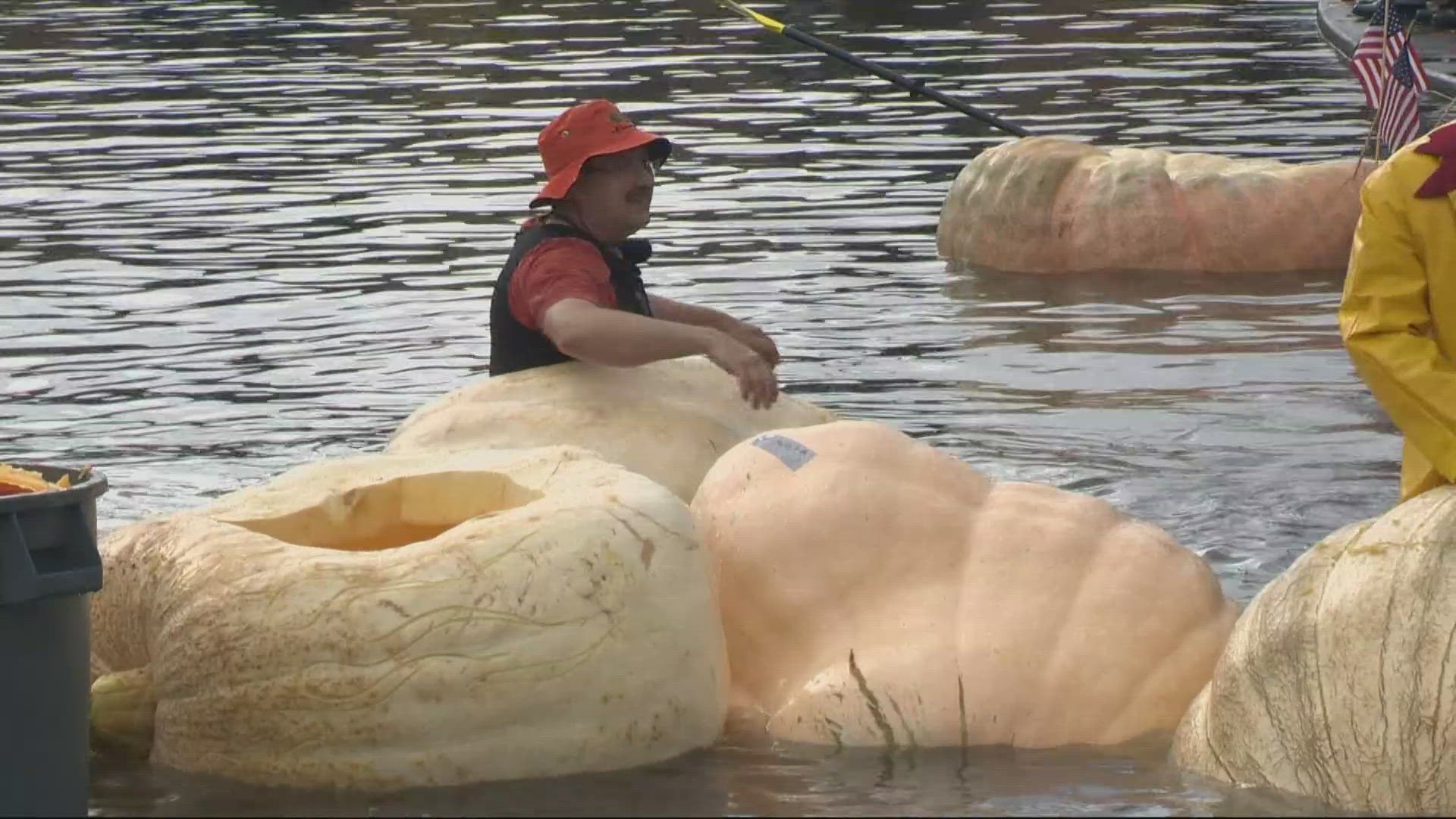 Tualatin's annual race in which people paddle in pumpkins is on Sunday from 10 a.m. to 4 p.m.