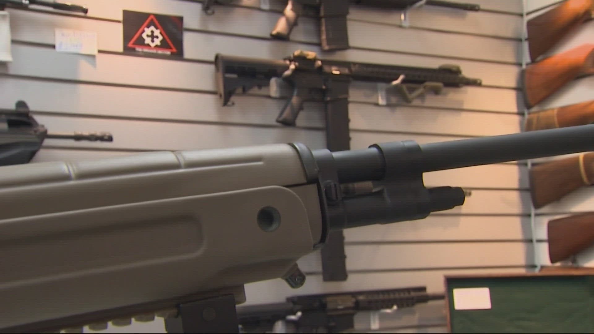 Washington's governor signed a bill Tuesday banning the sale of semi-automatic rifles. Opponents sued the state in federal court within hours.