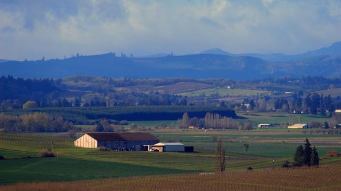 f23fa39d-7591-4799-b3f0-c840d0f9dcbf_114