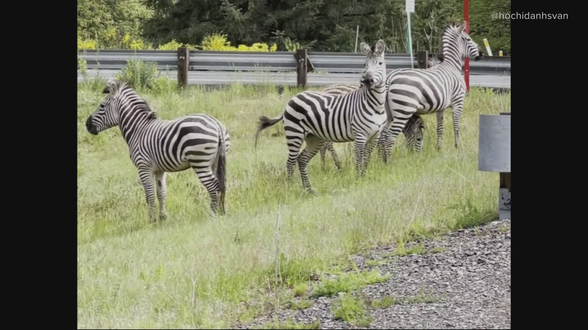 3 family members arrested for sexual abuse of multiple children over 15