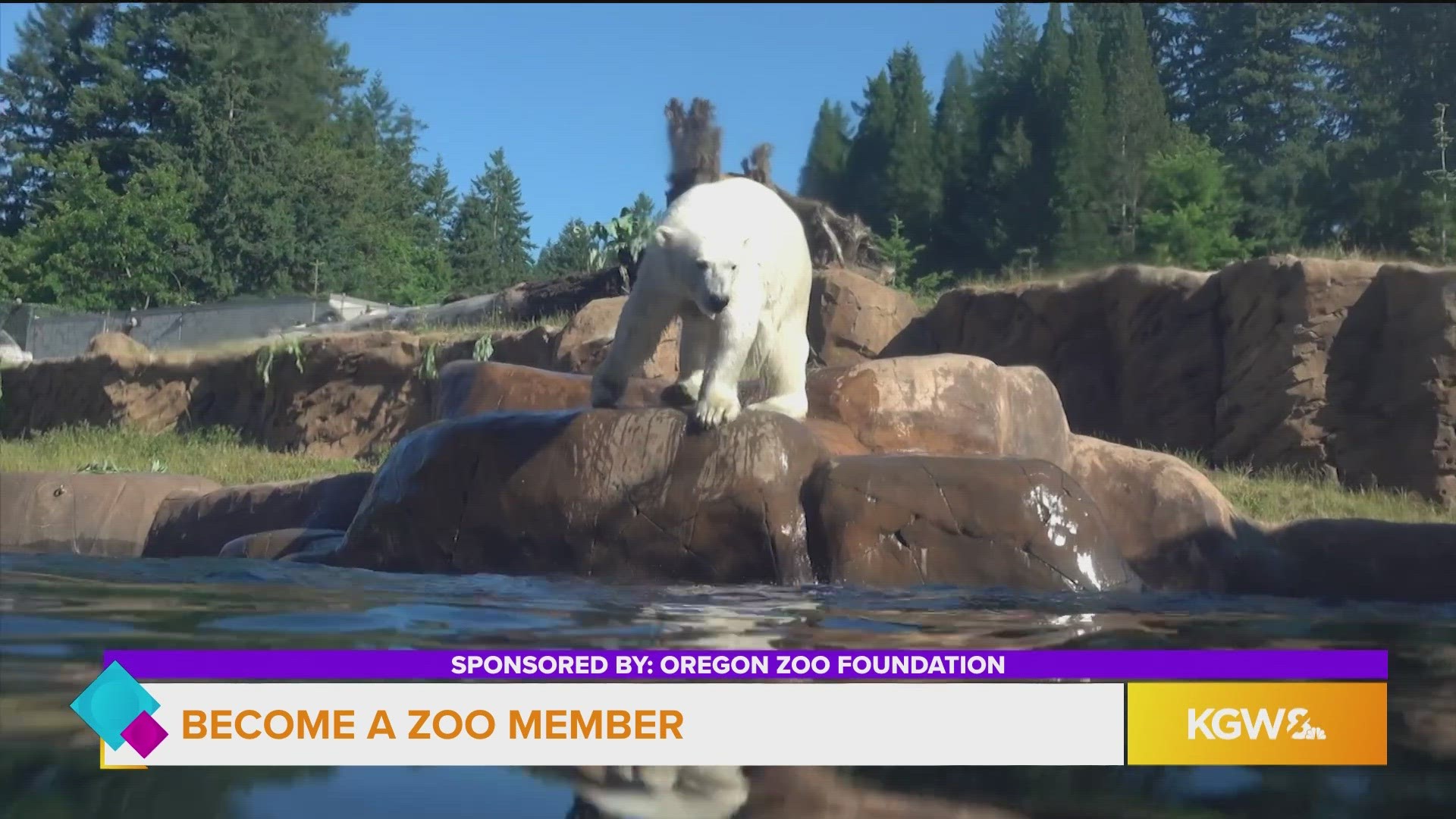 This segment is sponsored by Oregon Zoo Foundation