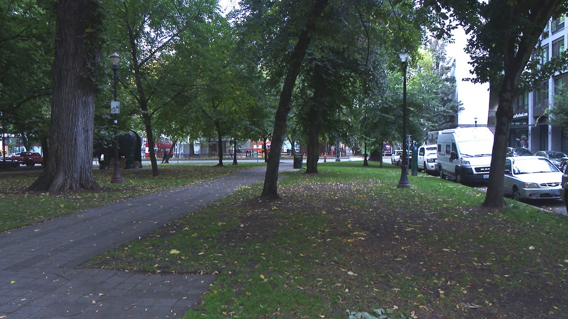 Multiple suspected fentanyl overdoses in Portland park - Vimarsana News