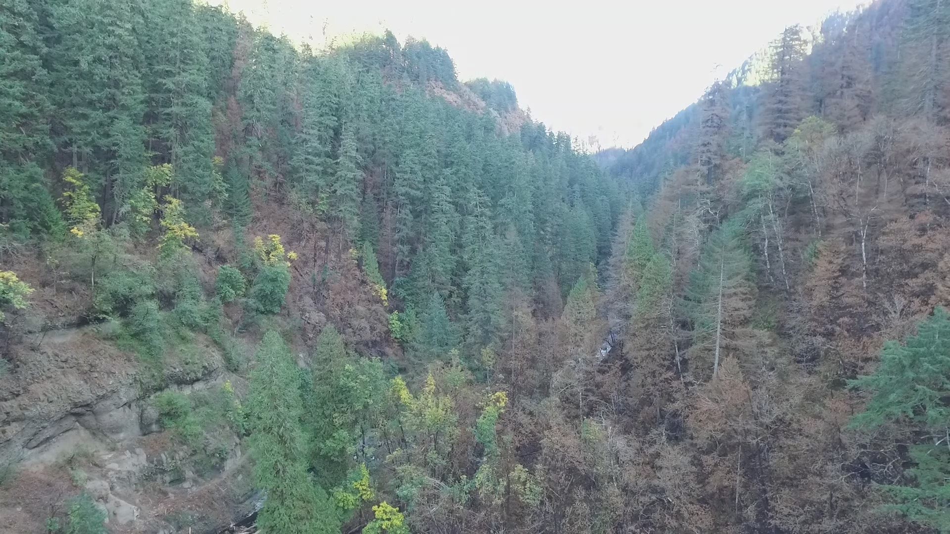 Video from Fly 8, KGW's drone, shows the damage the Eagle Creek Fire inflicted upon the popular trail and why it's still closed. Video shot on Oct. 3, 2017