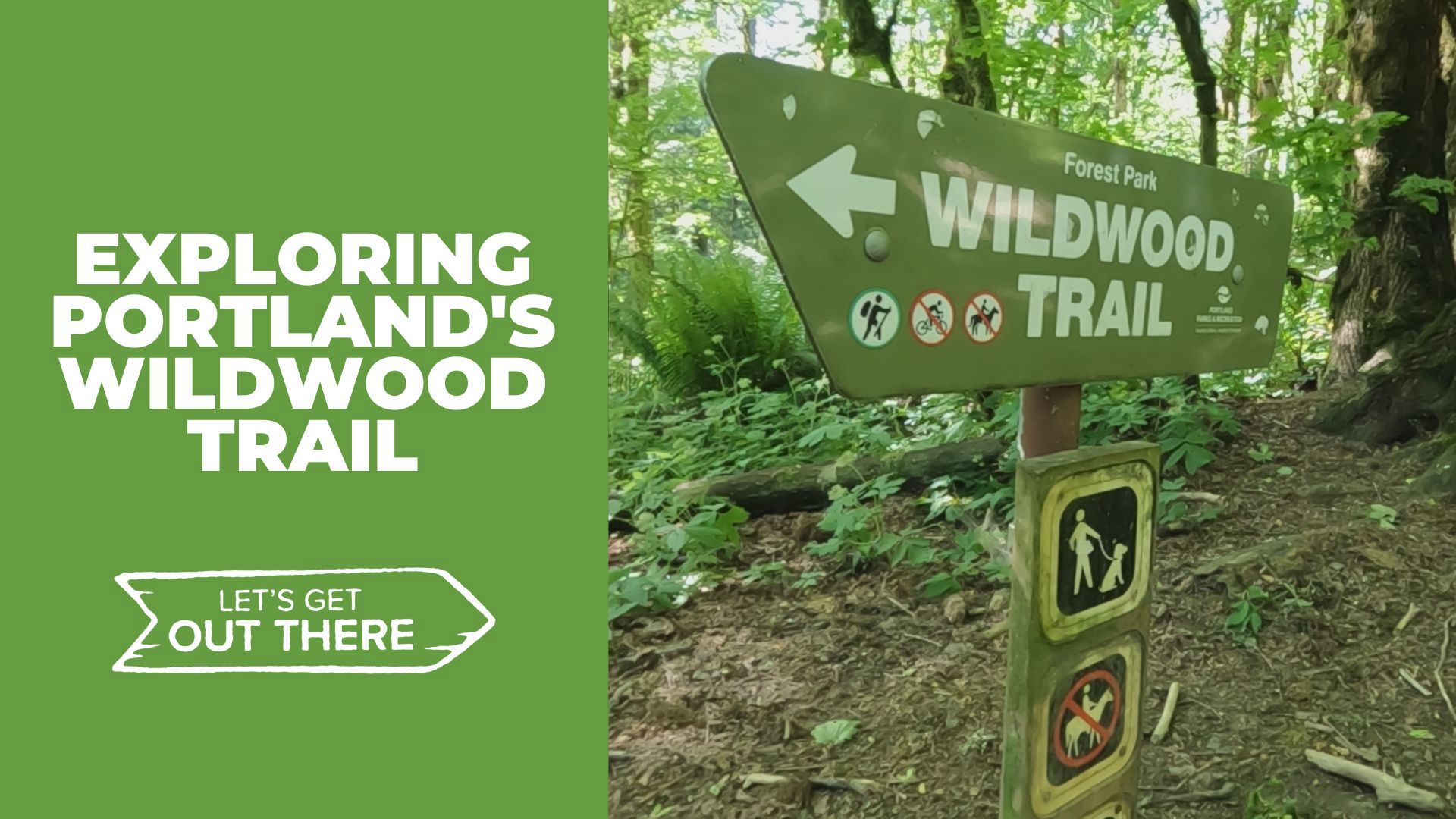 Tucked away in Portland’s Forest Park is the well-traveled Wildwood Trail. It’s a perfect place to unplug, but it helps to get there early.