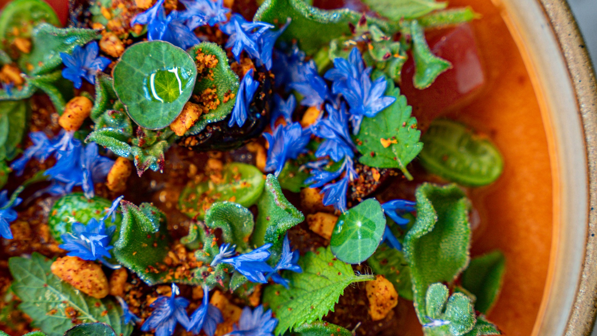 New York Times Celebrates Two Oregon Restaurants As Some Of Nations Best - cvrvp14