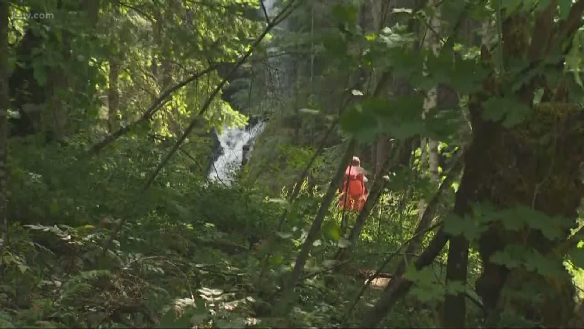 Some trails are opening in the Columbia Gorge.